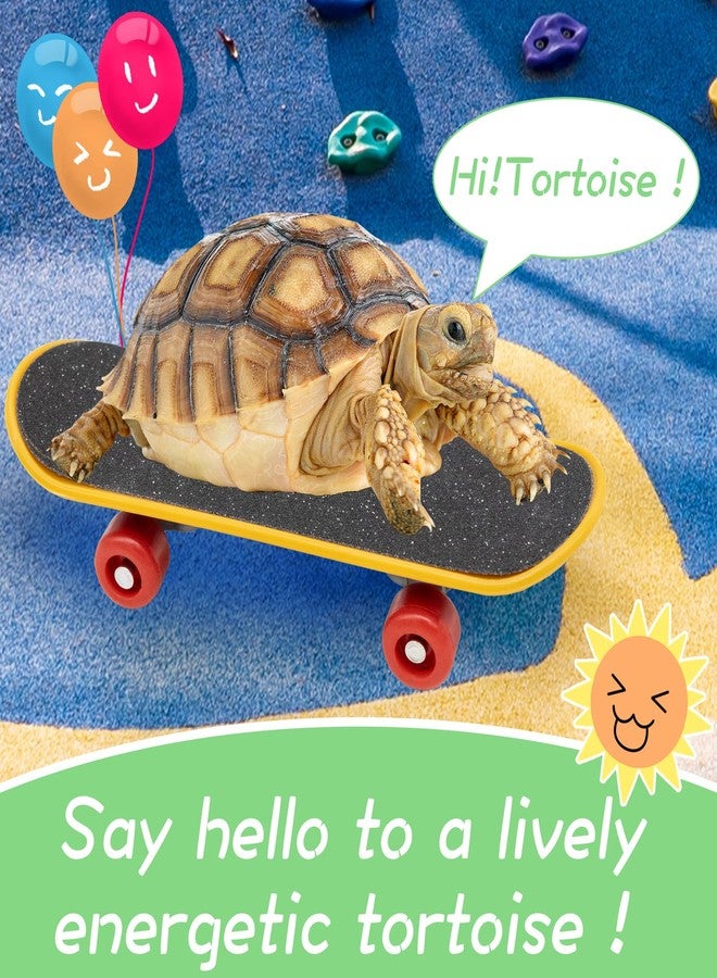 Niuohoy Tortoise Treat Ball and Mini Turtle Skateboard Set, Training Skateboard Toy & Tortoise Treat Ball Hanging Feeding Turtle Tank Accessories for Pet Turtle Tortoises Small Animals - Image 5
